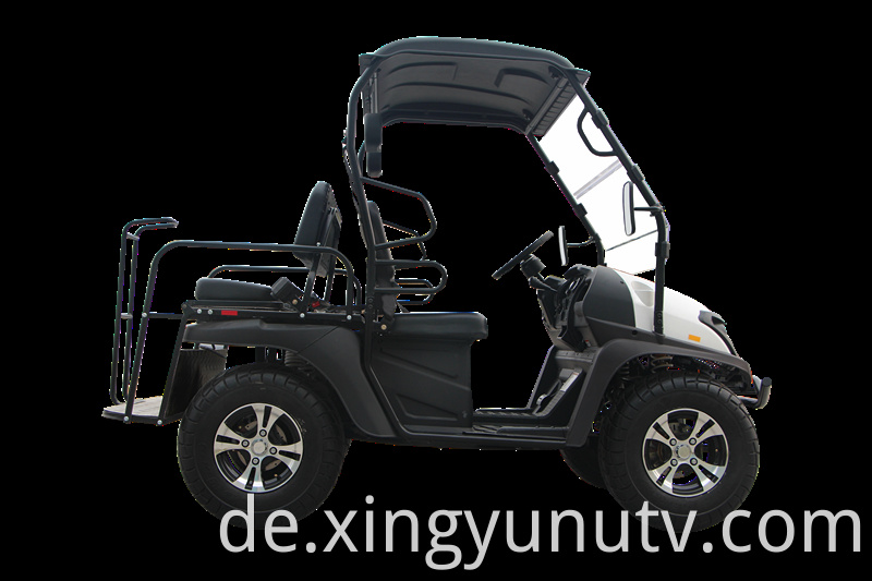 2021 Heißer Verkauf Hohe Qualität 5kw Electric UTV EWG Electric Golf Cart